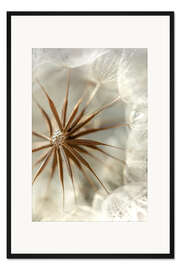 Gerahmter Kunstdruck Pusteblume Schirmchentanz