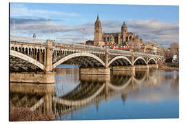 Aluminium print Cathedral and bridge in Salamanca