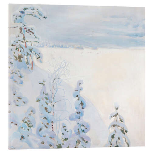 Acrylic print Winter landscape