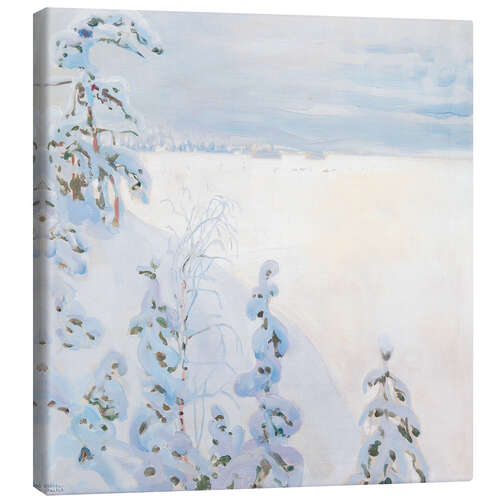 Canvas print Winter landscape