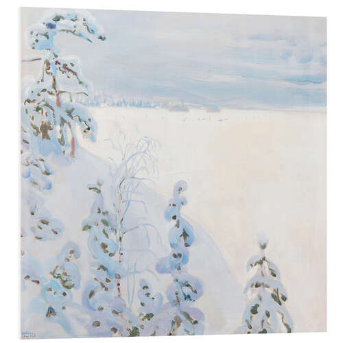 Foam board print Winter landscape