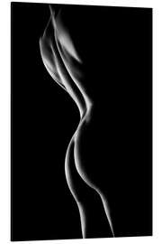 Aluminium print Outlines of a naked woman