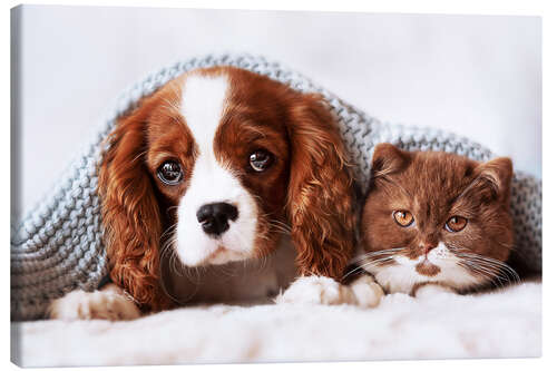 Canvas print Friends - puppy and kitten