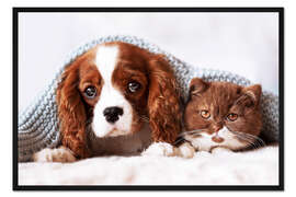 Gerahmter Kunstdruck Freunde - Welpe und Kätzchen