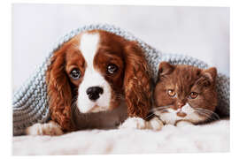 Foam board print Friends - puppy and kitten