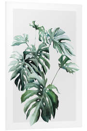 Foam board print Monstera plant