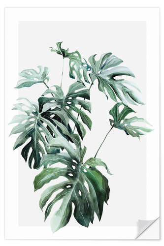 Wandsticker Monstera