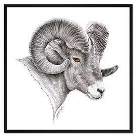 Gerahmter Kunstdruck Dickhorn Widder Zeichnung