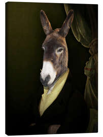 Canvas print  Donkey Jérome - Philippe Tyberghien