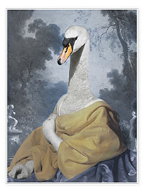 Veggbilde  Beautiful swan - Philippe Tyberghien