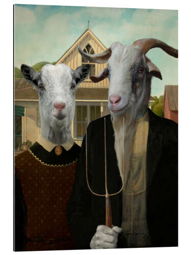 Gallery print American Goat