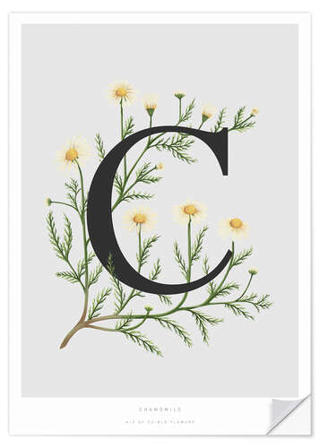 Wall sticker C is for Chamomile