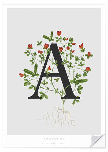 Wall sticker A is for Asparagus Pea