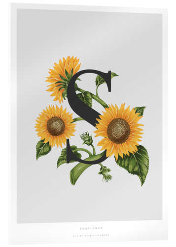 Acrylglas print S is for Sunflower