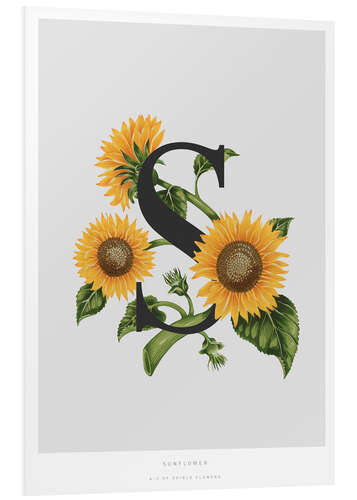 Foam board print S is for Sunflower