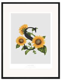 Gerahmter Kunstdruck S steht für Sunflower (Sonnenblume)