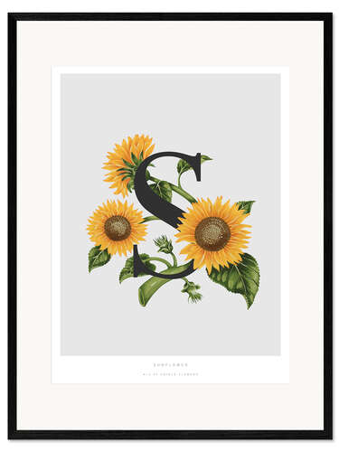 Framed art print S is for Sunflower