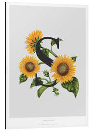 Magnettafel S steht für Sunflower (Sonnenblume)