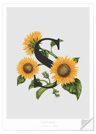 Sticker mural S is for Sunflower