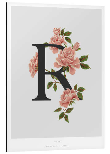 Aluminium print R is for Rose