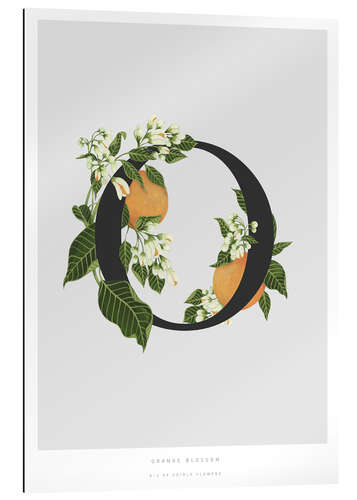 Gallery print O is for Orange Blossom