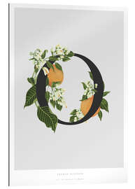 Gallery print O is for Orange Blossom