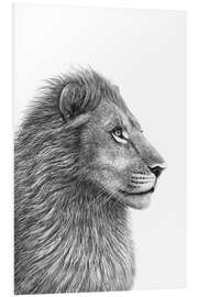 Foam board print The Lion