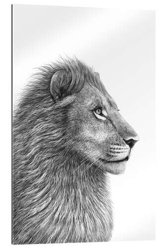 Gallery print The Lion