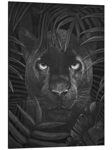 Alubild Schwarzer Panther im Dschungel