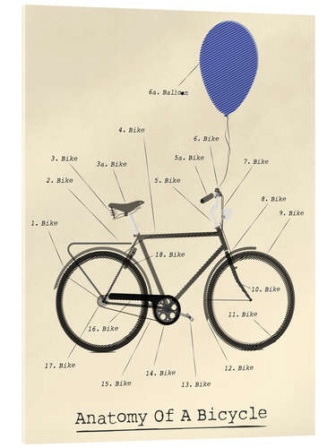 Acrylic print Anatomy of a Bicycle