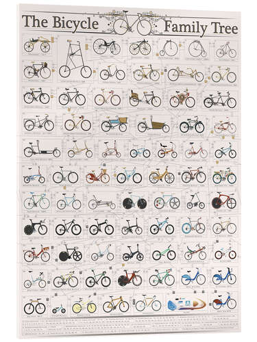 Acrylic print The Bicycle Family Tree