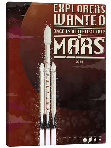 Canvas print Spacex Mars rocket