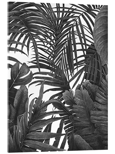 Akrylglastavla Tropical jungle in black and white