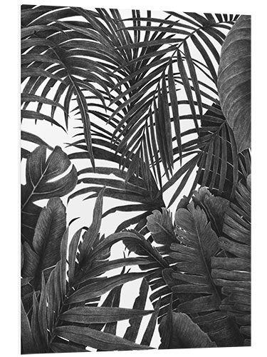 Foam board print Tropical jungle in black and white