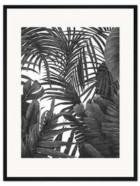 Gerahmter Kunstdruck Tropischer Dschungel in schwarz/weiß