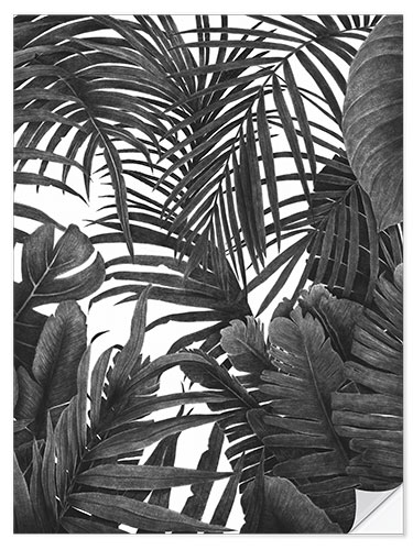 Selvklebende plakat Tropical jungle in black and white