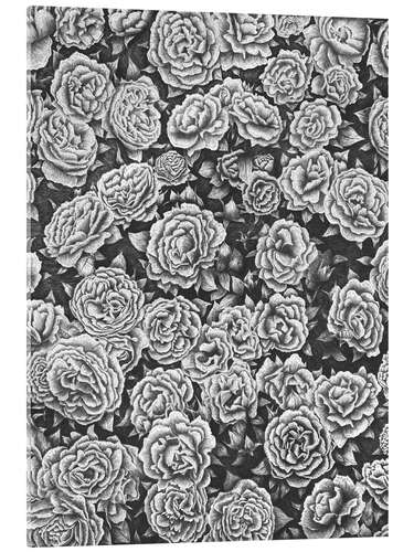 Acrylic print Blooming garden in black and white