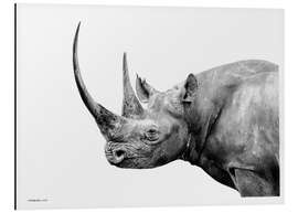 Aluminium print Black Rhino