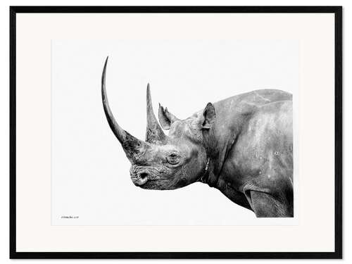 Gerahmter Kunstdruck Schwarzes Nashorn