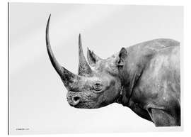 Gallery print Black Rhino