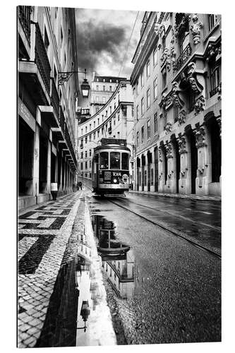 Gallery print Lisbon