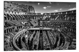 Aluminiumsbilde Colosseum Roma, Italia