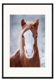 Gerahmter Kunstdruck Pferdeporträt