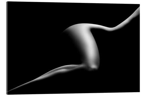 Acrylic print Female Bodyscape