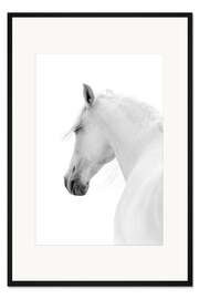 Gerahmter Kunstdruck Weißes Pferd II