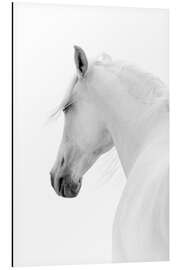 Magnettafel Weißes Pferd II