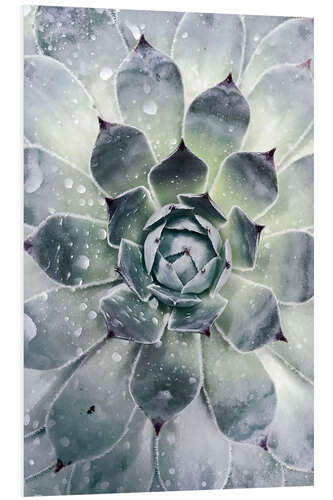 PVC print Agave 02