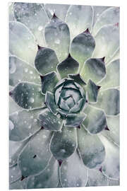 Cuadro de PVC Agave 02