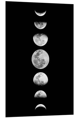 Obraz na PCV Moon Phases