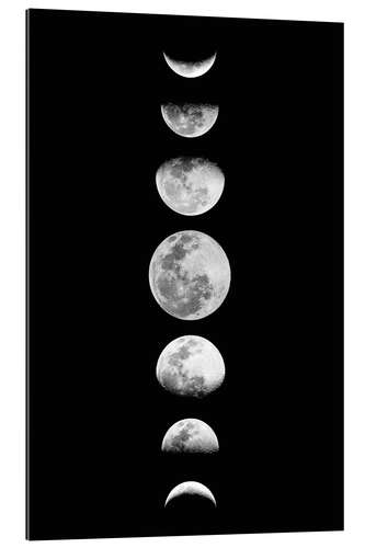 Gallery print Moon Phases